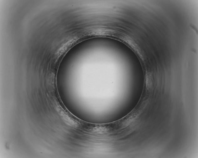 X0000103260445200808291221