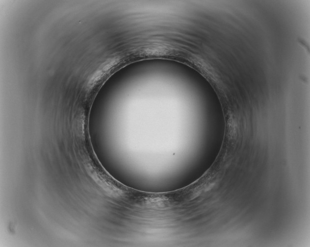 X0000103260446200808291221