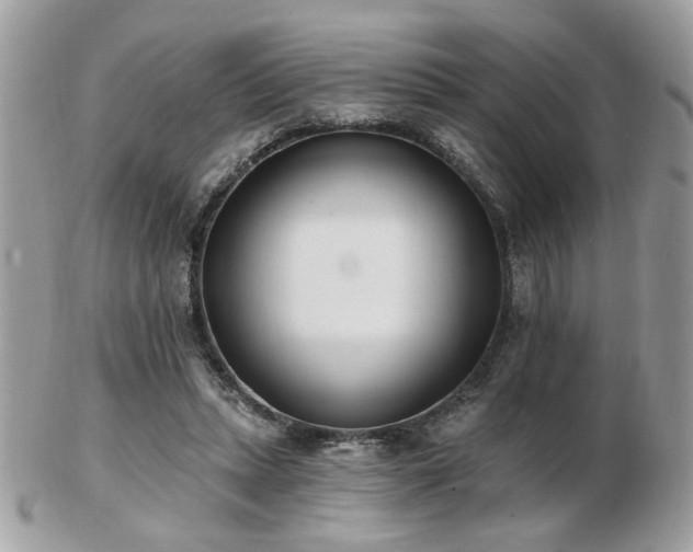 X0000103260447200808291221