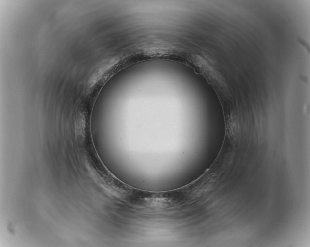 X0000103260448200808291221