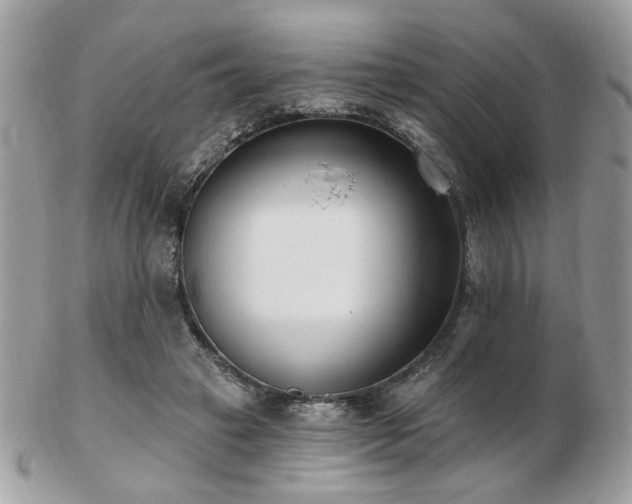 X0000103260449200808291221