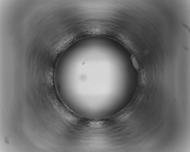 X0000103260450200808291221