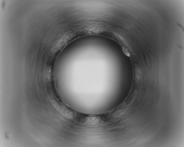 X0000103260451200808291221