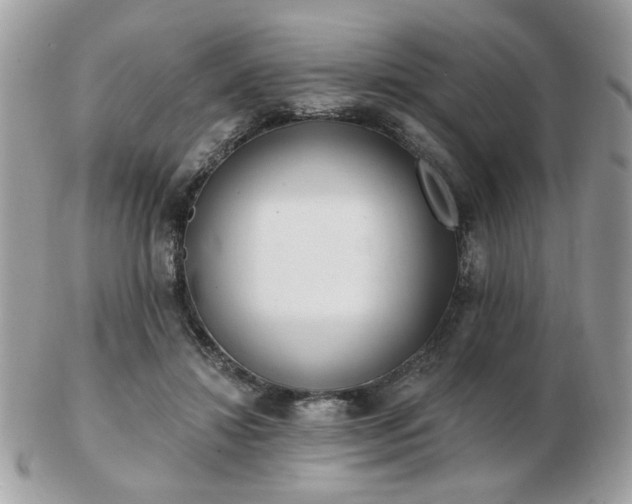 X0000103260452200808291221