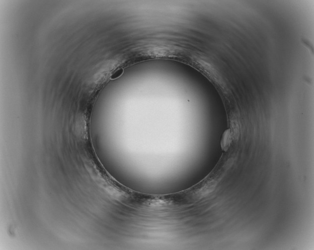 X0000103260453200808291221