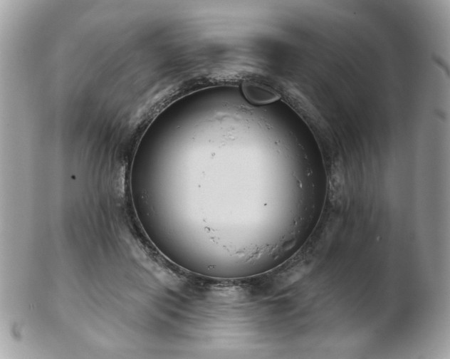 X0000103260454200808291221