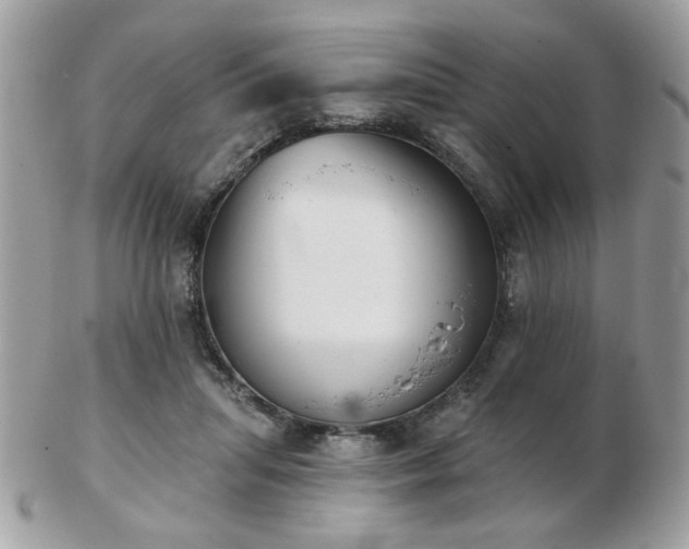 X0000103260455200808291221