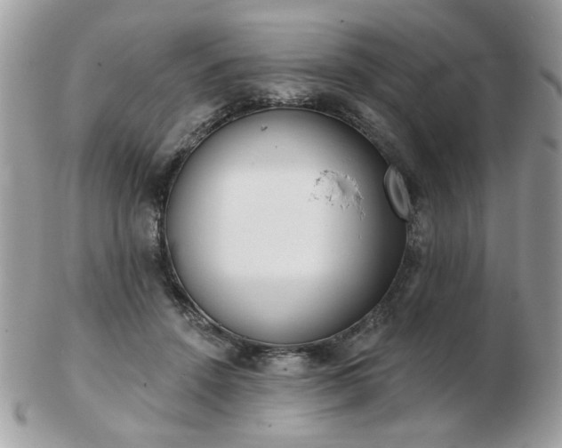 X0000103260456200808291221