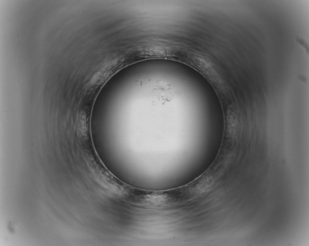 X0000103260457200808291222