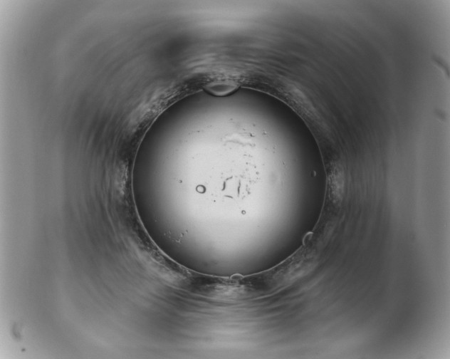 X0000103260458200808291222