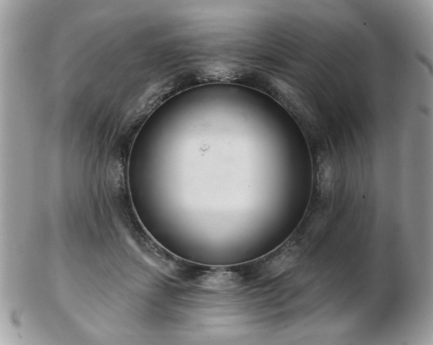 X0000103260459200808291222