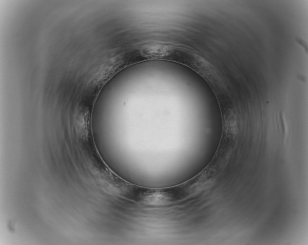 X0000103260460200808291222