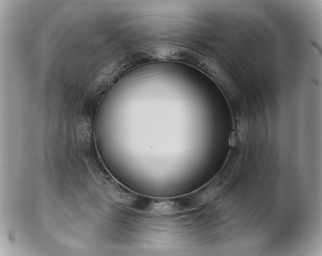 X0000103260461200808291222