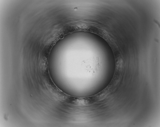 X0000103260464200808291222