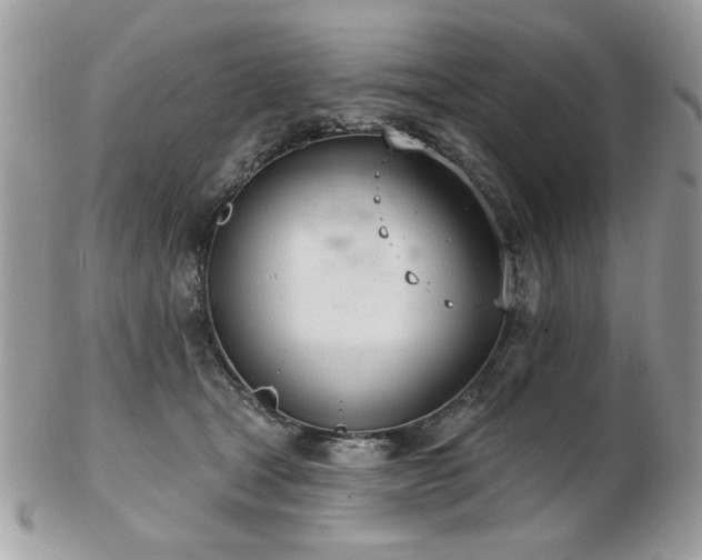 X0000103260465200808291222