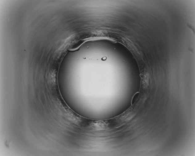 X0000103260466200808291222