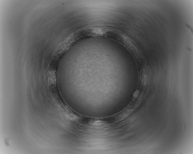 X0000103260467200808291222