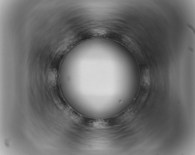 X0000103260468200808291222