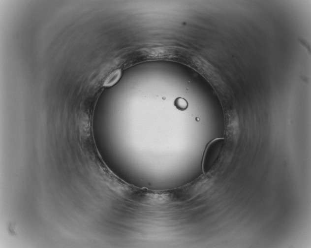 X0000103260469200808291222