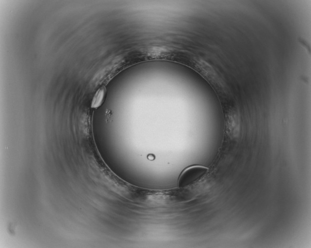 X0000103260470200808291222