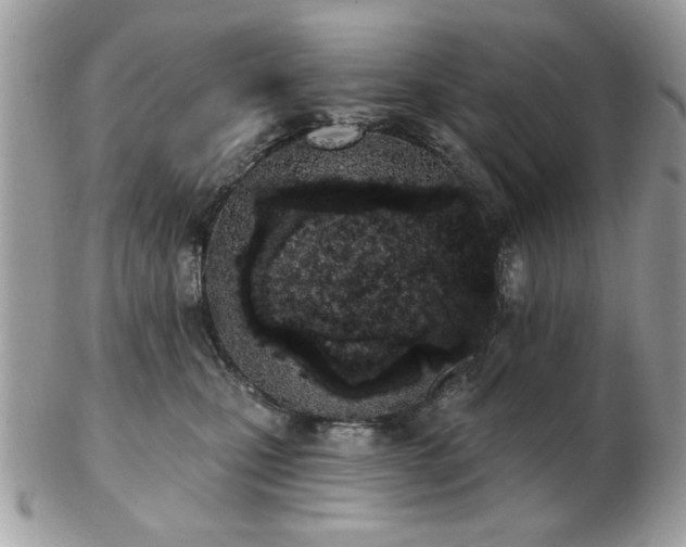 X0000103260471200808291222