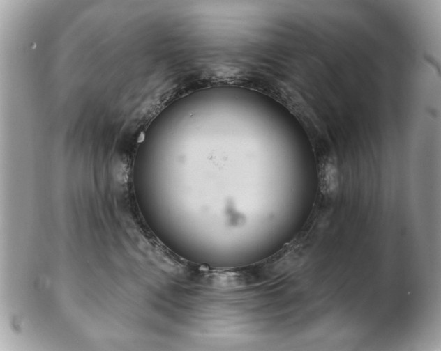 X0000103260472200808291222