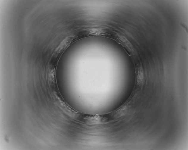 X0000103260473200808291222