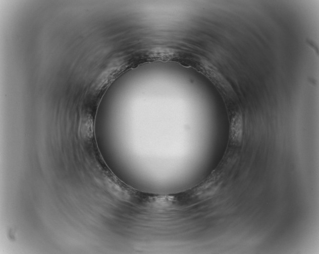 X0000103260474200808291222