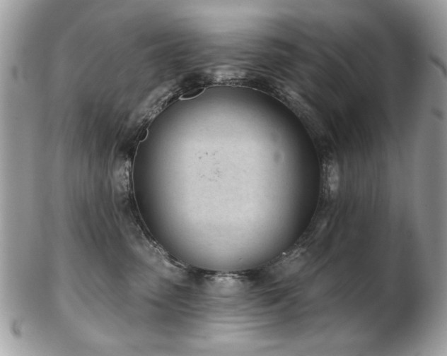 X0000103260475200808291222