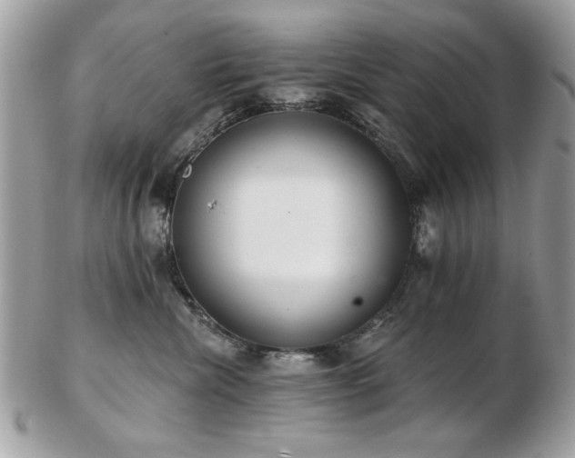 X0000103260476200808291222