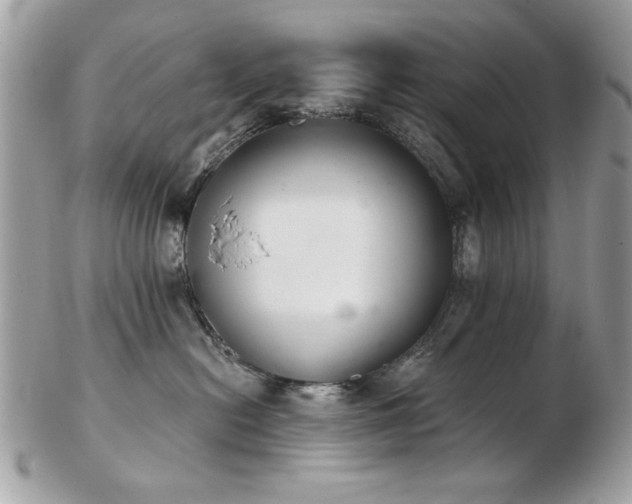 X0000103260478200808291222