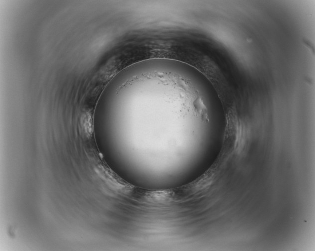 X0000103260479200808291222