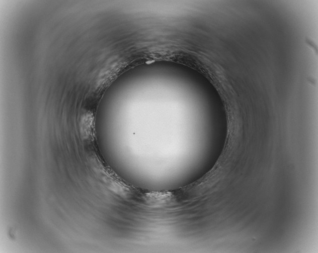 X0000103260480200808291222