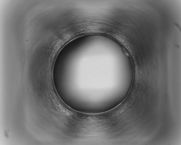 X0000103260481200808291221