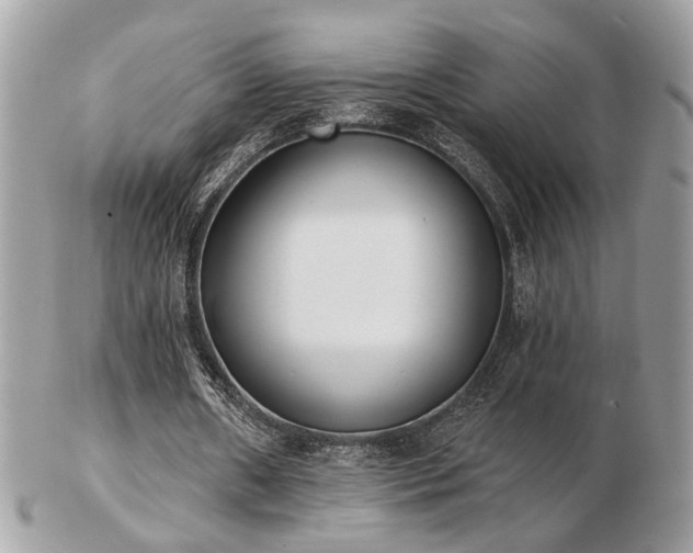 X0000103260482200808291221