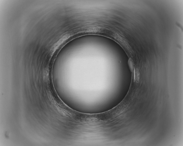 X0000103260483200808291221