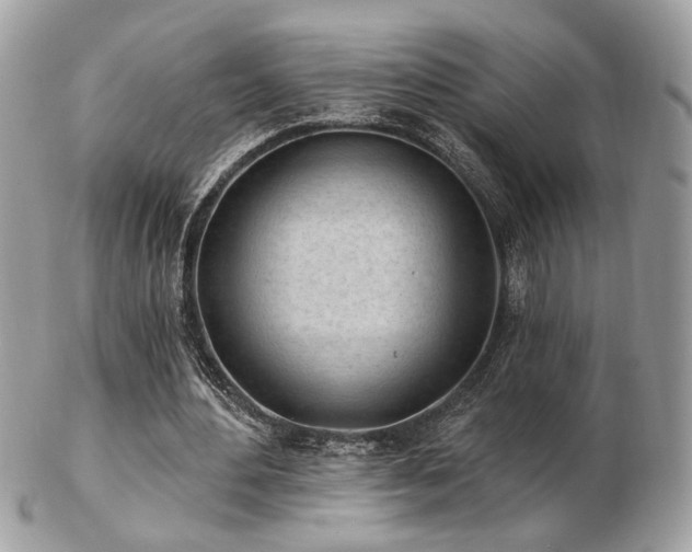 X0000103260484200808291221