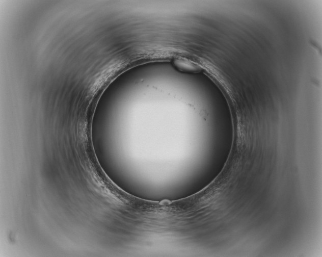 X0000103260485200808291221