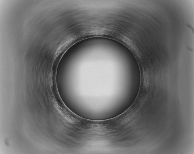 X0000103260486200808291221