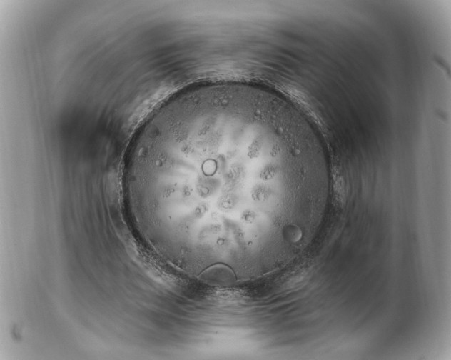 X0000103260487200808291221