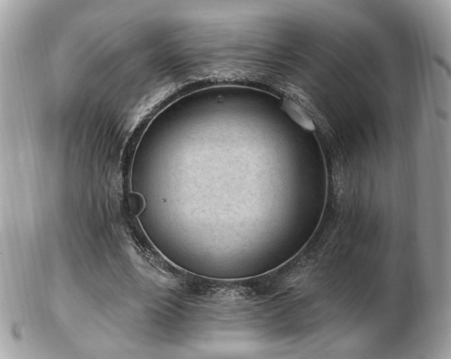 X0000103260488200808291221