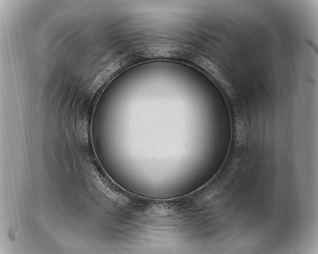 X0000103260489200808291221