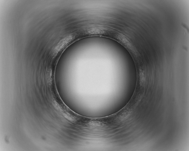 X0000103260490200808291221