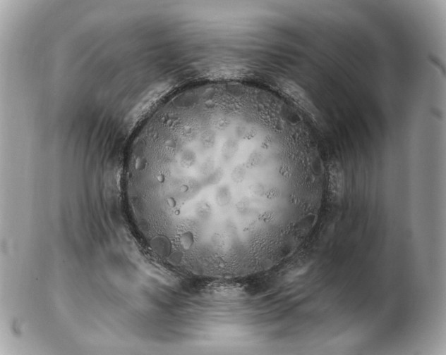 X0000103260491200808291221