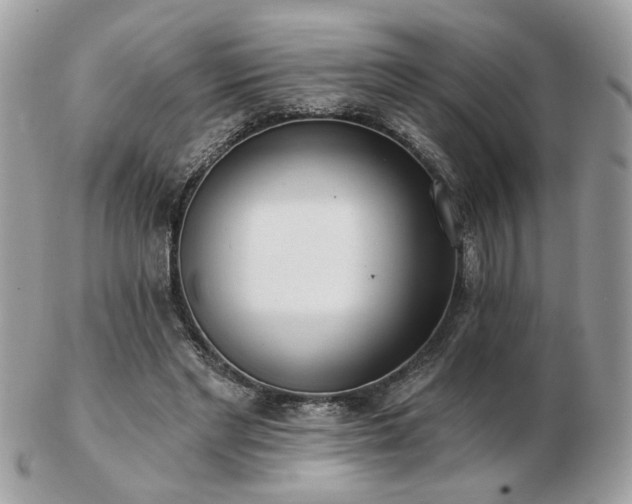 X0000103260493200808291221