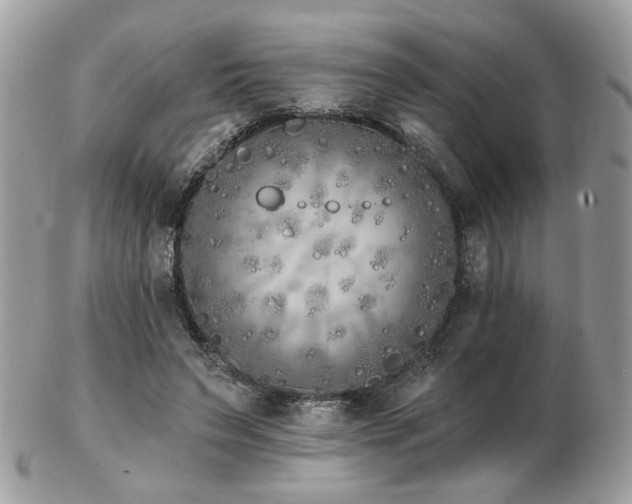 X0000103260495200808291221