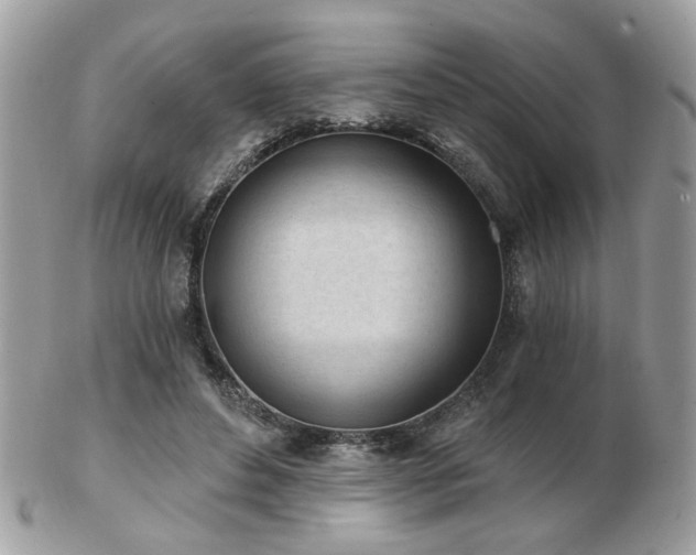 X0000103260496200808291221