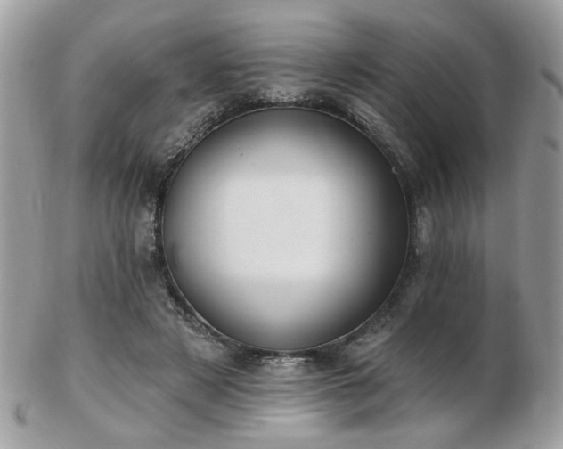 X0000103260497200808291221