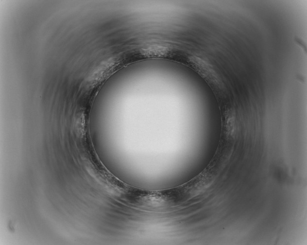 X0000103260498200808291221