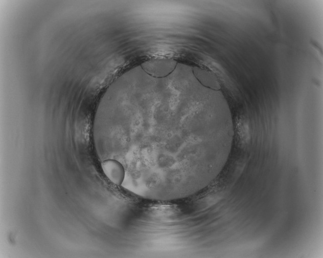 X0000103260499200808291221